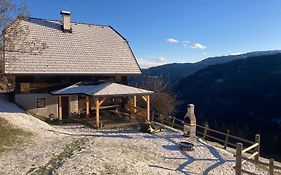 Berghuette Reissnerhof